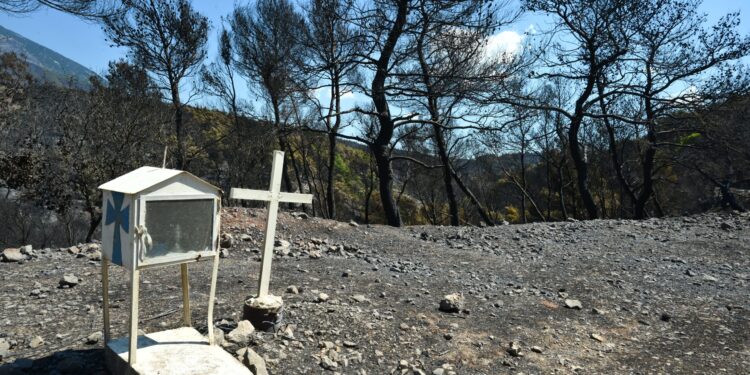 Παράσταση πολιτικής αγωγής από την Περιφέρεια Αττικής για την πυρκαγιά στη Βοιωτία - «Μηδενική ανοχή» στους υπεύθυνους
