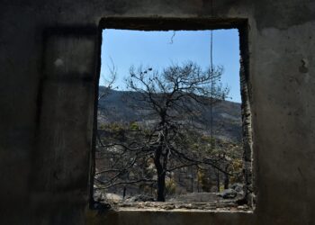 Πόρτο Γερμενό: Ξεκίνησαν οι αυτοψίες στις πυρόπληκτες περιοχές - ertnews.gr