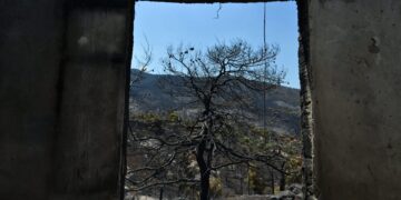 Πόρτο Γερμενό: Ξεκίνησαν οι αυτοψίες στις πυρόπληκτες περιοχές - ertnews.gr
