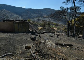 Κ. Κατσαφάδος: Μέχρι αύριο θα έχουν ολοκληρωθεί οι αυτοψίες στο Πόρτο Γερμενό - Το μήνυμα είναι ένα και απλό, κανέναν δεν θα αφήσουμε αβοήθητο - ertnews.gr