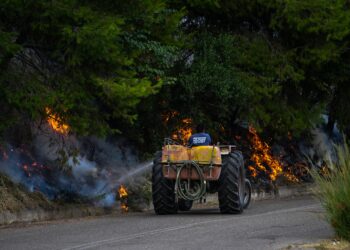 Σε ύφεση η φωτιά στο Μουζάκι Ηλείας - Μάχη με τις διάσπαρτες εστίες - ertnews.gr
