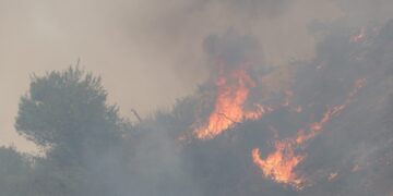 Φωτιά σε δασική έκταση στη Μαμουλάδα Αιτωλοακαρνανίας - Ισχυρές δυνάμεις στο μέτωπο - ertnews.gr