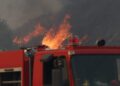 Πυρκαγιά σε αγροτοδασική έκταση στην Αλφειούσα Ηλείας – Μεγάλη κινητοποίηση της Πυροσβεστικής