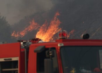 Πυρκαγιά σε αγροτοδασική έκταση στην Αλφειούσα Ηλείας – Μεγάλη κινητοποίηση της Πυροσβεστικής