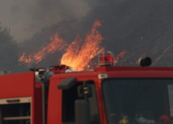 Έξι συλλήψεις για εμπρησμούς σε Ηλέια, Έβρο, Αττική, Χίο, Θεσπρωτία και Φωκίδα - ertnews.gr