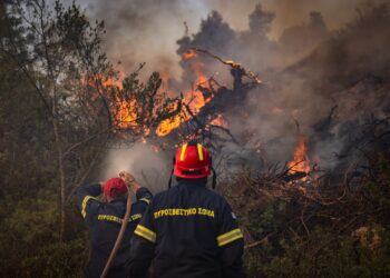 Σκέρτσος: Το Antinero συμβάλλει σημαντικά στον περιορισμό της ζημίας όταν προκύψει μια πυρκαγιά - ertnews.gr