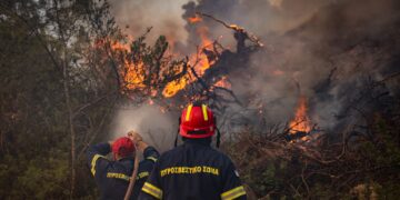 Σκέρτσος: Το Antinero συμβάλλει σημαντικά στον περιορισμό της ζημίας όταν προκύψει μια πυρκαγιά - ertnews.gr