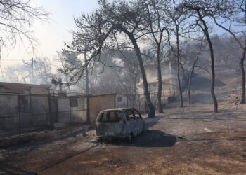 Αρτοποιός για τη φωτιά στη Σαλαμίνα: «Προτεραιότητα η προστασία της ανθρώπινης ζωής - Ακούμε πιστά τις οδηγίες των Αρχών» - ertnews.gr