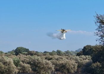 Ηλεία: Χωρίς ενεργό μέτωπο η φωτιά στην Αγία Μαρίνα – Επιχειρούν ισχυρές πυροσβεστικές δυνάμεις