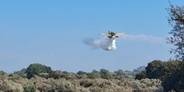 Ηλεία: Χωρίς ενεργό μέτωπο η φωτιά στην Αγία Μαρίνα – Επιχειρούν ισχυρές πυροσβεστικές δυνάμεις