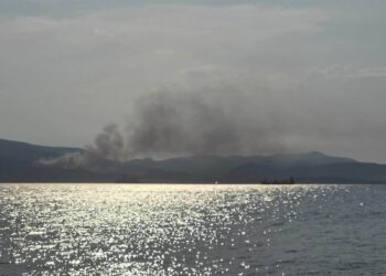 Φωτιά καίει πευκοδάσος κοντά στον προφήτη Ηλία στις Αλυκές – Ορατός ο καπνός και στην πόλη του Βόλου