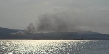 Φωτιά καίει πευκοδάσος κοντά στον προφήτη Ηλία στις Αλυκές – Ορατός ο καπνός και στην πόλη του Βόλου