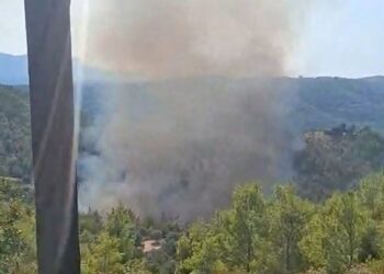 Φωτιά στο σε δασική έκταση στο Μαρκόπουλο Ωρωπού: Ενισχύθηκαν οι δυνάμεις – Ήχησε το 112 για ετοιμότητα