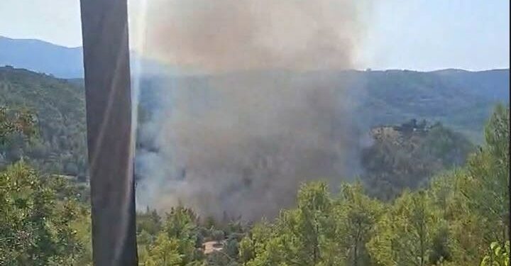Φωτιά στο σε δασική έκταση στο Μαρκόπουλο Ωρωπού: Ενισχύθηκαν οι δυνάμεις – Ήχησε το 112 για ετοιμότητα