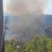 Φωτιά στο σε δασική έκταση στο Μαρκόπουλο Ωρωπού: Ενισχύθηκαν οι δυνάμεις – Ήχησε το 112 για ετοιμότητα