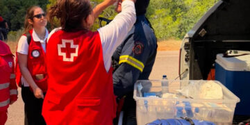 Προστασία μετά από πυρκαγιά: Οι 10 οδηγίες του Ελληνικού Ερυθρού Σταυρού για υγεία και ασφάλεια