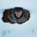 NYIFF 2026: Ο Άντριου Χέι επιστρέφει με το A Long Winter