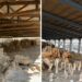 Δύο νέα έργα για την προστασία και ανάδειξη της Αμφίπολης – Ολοκληρώθηκε η συντήρηση της Αρχαίας Ξύλινης Γέφυρας στον Στρυμόνα