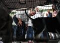 Τον σταθμό φιλοξενίας πυρόπληκτων ζώων στα Μέγαρα επισκέφτηκε ο Νίκος Aνδρουλάκης