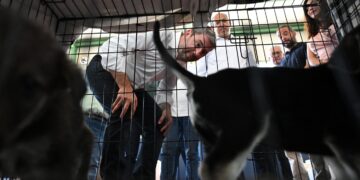 Τον σταθμό φιλοξενίας πυρόπληκτων ζώων στα Μέγαρα επισκέφτηκε ο Νίκος Aνδρουλάκης
