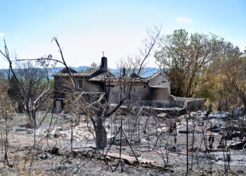 Χάρης Κοντοές στο ΕΡΤnews: «Δεν έχουμε αντιληφθεί το μέγεθος της κλιματικής κρίσης - Ζούμε μέσα σε μια βόμβα» - ertnews.gr