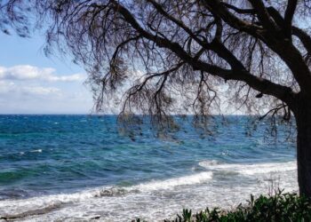 Καιρός: Στους 38 βαθμούς ο υδράργυρος – Ενισχυμένοι οι άνεμοι στο Αιγαίο – Πρόγνωση από την Α. Τυράσκη