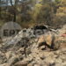 Παράσταση υποστήριξης της κατηγορίας θα δηλώσουν συγγενείς του Έλληνα πιλότου που έχασε τη ζωή του στην Ψάθα