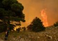 Τσίγκας στο ERTnews: Σε ύφεση η μεγάλη πυρκαγιά στη Δυτική Αττική – Κρίσιμο το επόμενο 24ωρο