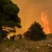 Τσίγκας στο ERTnews: Σε ύφεση η μεγάλη πυρκαγιά στη Δυτική Αττική – Κρίσιμο το επόμενο 24ωρο
