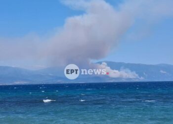 Φωτιά στο Σκάλωμα Φωκίδας: Μεγάλη κινητοποίηση της Πυροσβεστικής – Ήχησε το 112 για εκκένωση περιοχών προς Πευκάκι και Ευπάλιο