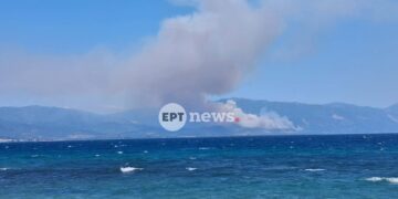 Φωτιά στο Σκάλωμα Φωκίδας: Μεγάλη κινητοποίηση της Πυροσβεστικής – Ήχησε το 112 για εκκένωση περιοχών προς Πευκάκι και Ευπάλιο