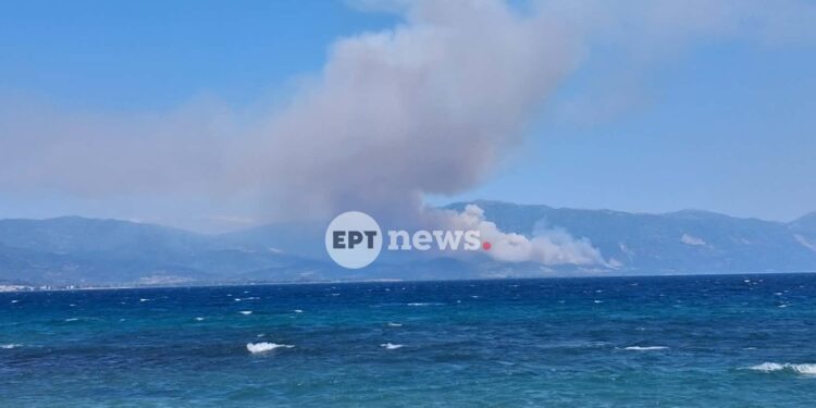 Φωτιά στο Σκάλωμα Φωκίδας: Μεγάλη κινητοποίηση της Πυροσβεστικής – Ήχησε το 112 για εκκένωση περιοχών προς Πευκάκι και Ευπάλιο