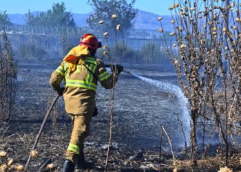 Πολύ υψηλός κίνδυνος πυρκαγιάς κατηγορίας κινδύνου 4 για αύριο Κυριακή 16 Αυγούστου