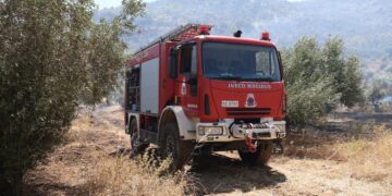 Οριοθετήθηκε η πυρκαγιά στην Καμηλόβρυση Φθιώτιδας - Έκαψε χαμηλή βλάστηση - ertnews.gr