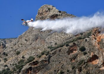 Συνελήφθη 44χρονος για εμπρησμό από πρόθεση στην Κεφαλονιά - Είχε καταδικαστεί και στο παρελθόν για συναφή υπόθεση - ertnews.gr