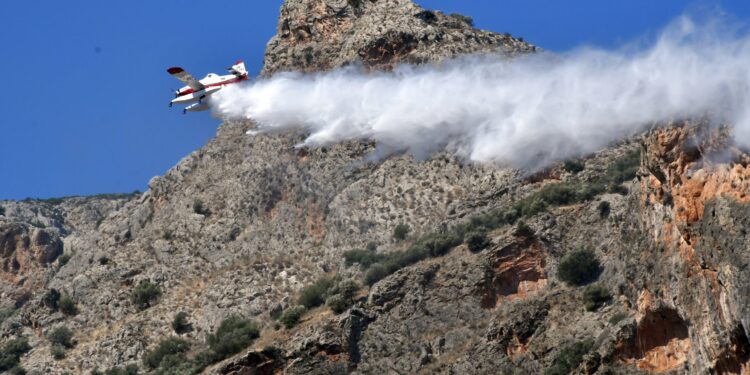 Συνελήφθη 44χρονος για εμπρησμό από πρόθεση στην Κεφαλονιά - Είχε καταδικαστεί και στο παρελθόν για συναφή υπόθεση - ertnews.gr