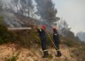 Φωτιά σε δασική έκταση στο Δροσοχώρι Τρικάλων - ertnews.gr