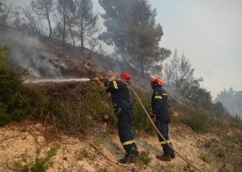 Φωτιά σε δασική έκταση στο Δροσοχώρι Τρικάλων - ertnews.gr