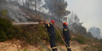 Φωτιά σε δασική έκταση στο Δροσοχώρι Τρικάλων - ertnews.gr