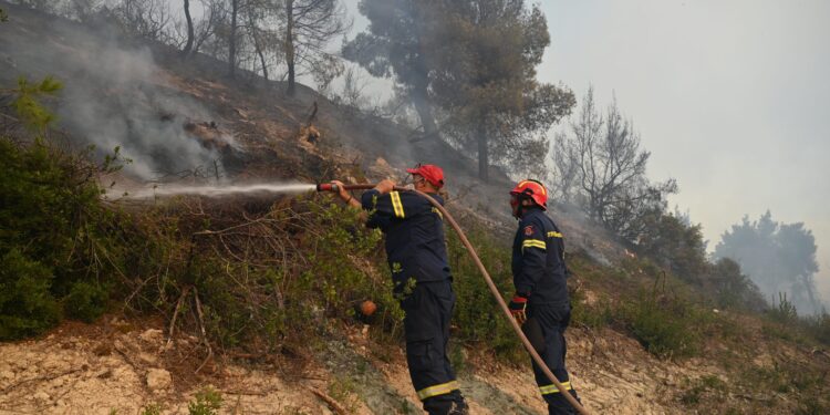 Φωτιά σε δασική έκταση στο Δροσοχώρι Τρικάλων - ertnews.gr
