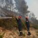 Φωτιά σε δασική έκταση στο Δροσοχώρι Τρικάλων - ertnews.gr