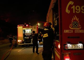 Υπό μερικό έλεγχο η φωτιά στο Βελεστίνο – Παραμένουν στο σημείο ισχυρές δυνάμεις της Πυροσβεστικής