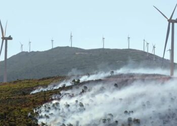 Απολογούνται οι συλληφθέντες για την πυρκαγιά στη Βοιωτία – Επτά συλλήψεις για εκτέλεση θερμών εργασιών σε υπαίθριο χώρο