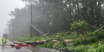 Χαβάη: Εικόνες καταστροφής από το πέρασμα του τυφώνα «Λάλα» - Δρόμοι «καταρράκτες», κατολισθήσεις και διακοπές ρεύματος