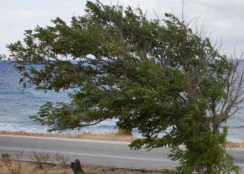 Καιρός: Άνεμοι ως 9 Μποφόρ προκαλούν κόκκινο συναγερμό για πυρκαγιές σε Αττική, Εύβοια και 8 περιφέρειες – Πότε αναμένεται αποκλιμάκωση