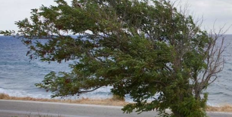 Καιρός: Άνεμοι ως 9 Μποφόρ προκαλούν κόκκινο συναγερμό για πυρκαγιές σε Αττική, Εύβοια και 8 περιφέρειες – Πότε αναμένεται αποκλιμάκωση
