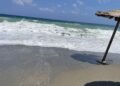 Συνθήκες «Hot, Dry, Windy» στη χώρα: 40άρια, ισχυροί βοριάδες και αυξημένος κίνδυνος πυρκαγιάς - Η πρόγνωση της Όλγας Παπαβγούλη - ertnews.gr