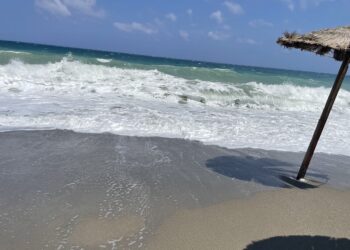 Συνθήκες «Hot, Dry, Windy» στη χώρα: 40άρια, ισχυροί βοριάδες και αυξημένος κίνδυνος πυρκαγιάς - Η πρόγνωση της Όλγας Παπαβγούλη - ertnews.gr