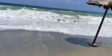 Συνθήκες «Hot, Dry, Windy» στη χώρα: 40άρια, ισχυροί βοριάδες και αυξημένος κίνδυνος πυρκαγιάς - Η πρόγνωση της Όλγας Παπαβγούλη - ertnews.gr