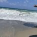 Συνθήκες «Hot, Dry, Windy» στη χώρα: 40άρια, ισχυροί βοριάδες και αυξημένος κίνδυνος πυρκαγιάς - Η πρόγνωση της Όλγας Παπαβγούλη - ertnews.gr